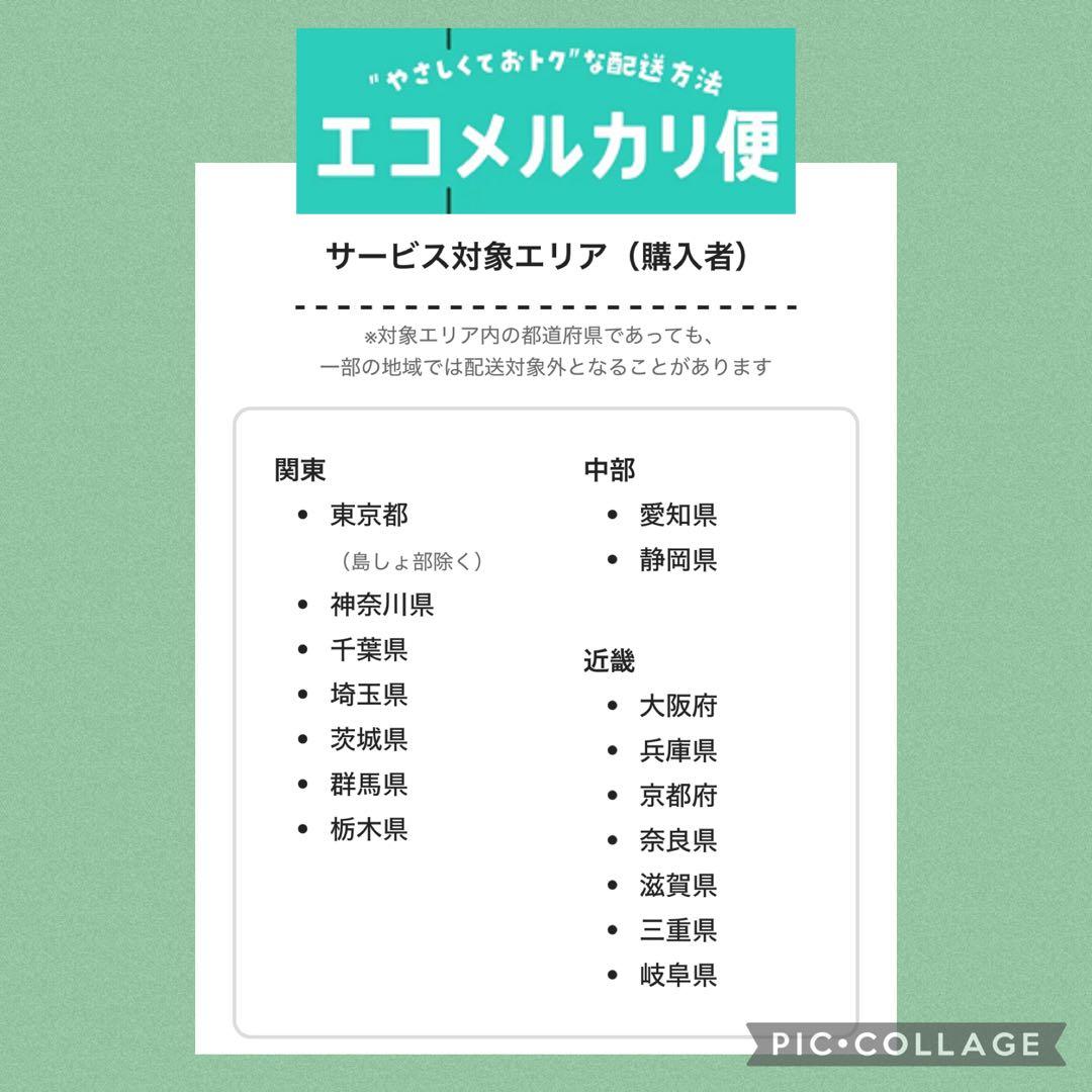 ★超貴重！縁起物★本物 孔雀の羽うちわ 特大52cm×40cm 2枚