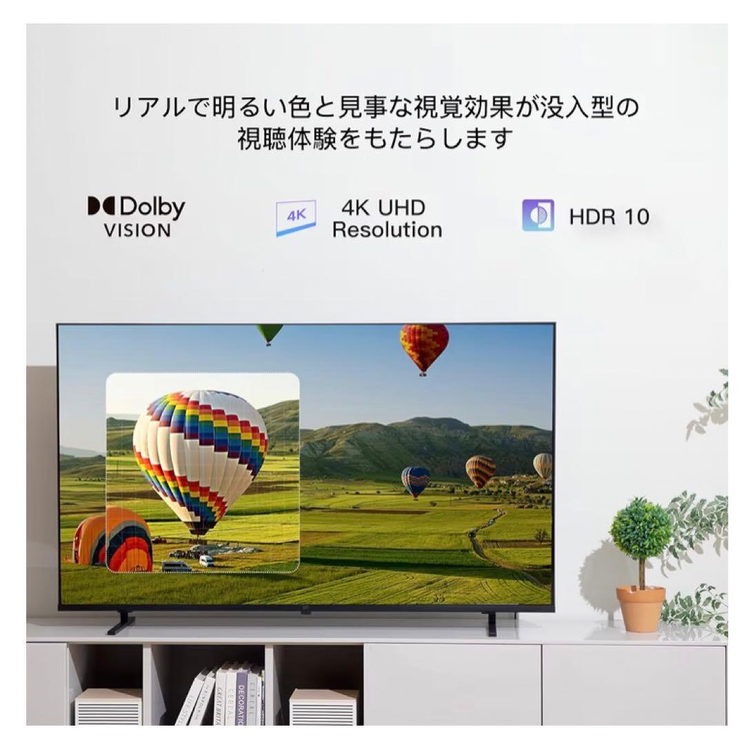 FPD チューナーレステレビ 55V型　Google TV