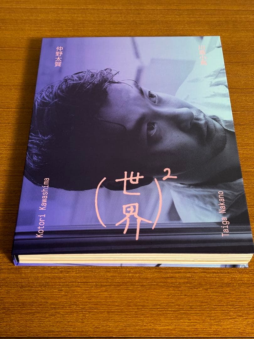 【美品】ポストカード他3点付き 「(世界)2 」 仲野太賀 川島小鳥 写真集