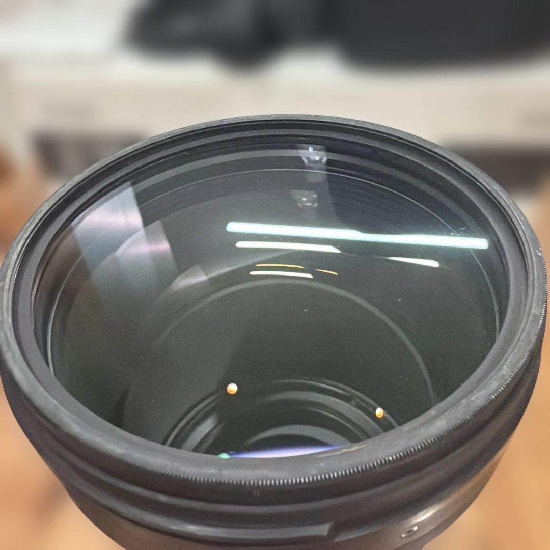 SIGMA150-600f5-f6.3 contemporary Nikon用