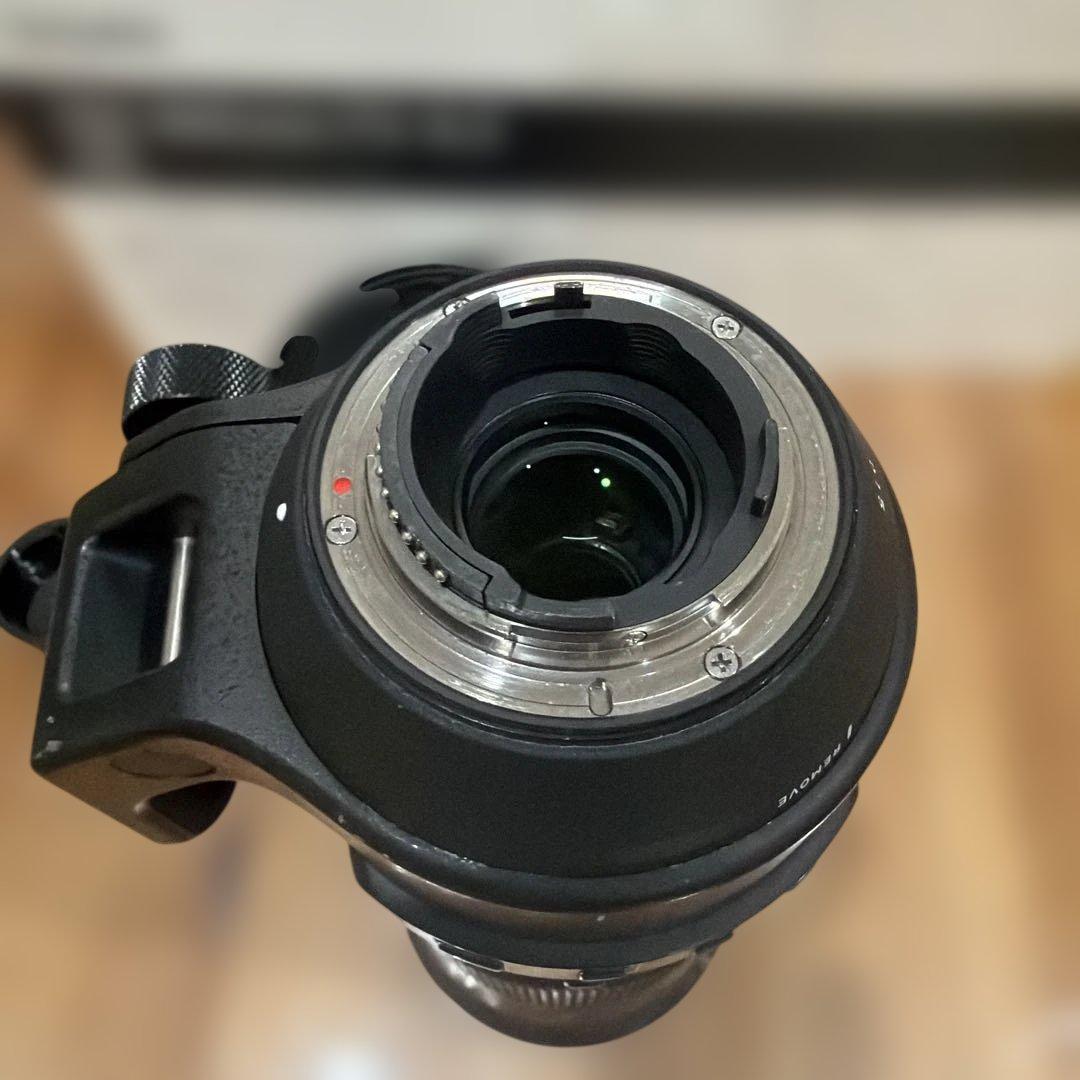 SIGMA150-600f5-f6.3 contemporary Nikon用