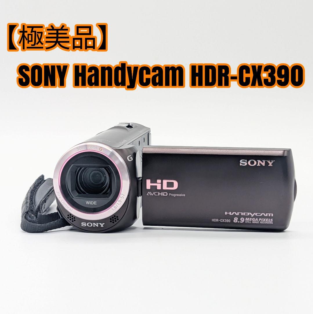 【極美品】SONY Handycam HDR-CX390 ボルドーブラウン