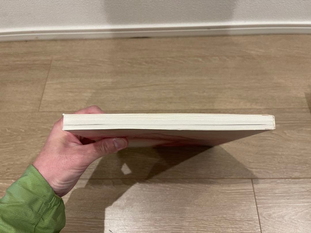 Wolfgang Tillmans Freischwimmer 写真集 おまけ付