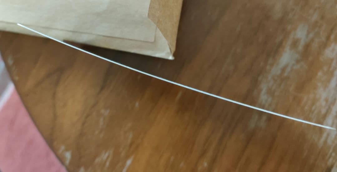 ゼニガメ eカード 2種 2枚セット