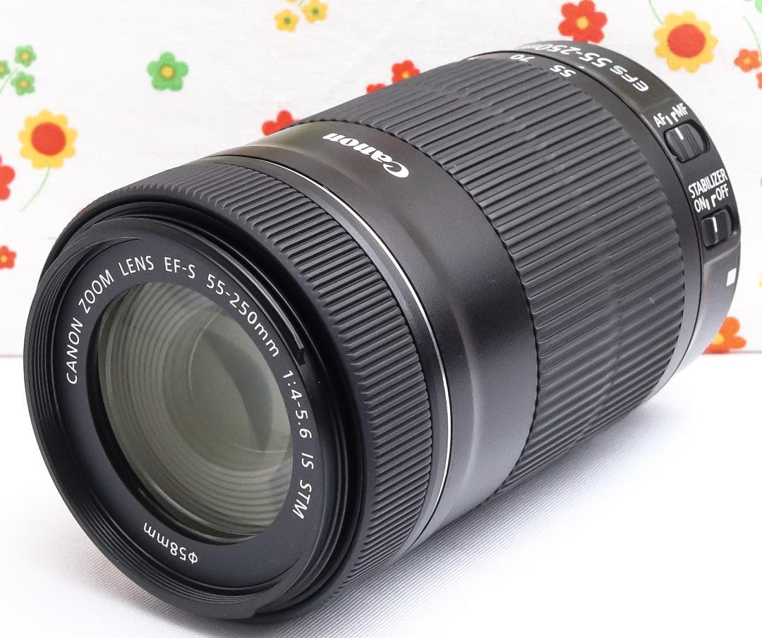 Canon EF-S 55-250mm IS STM ☆ブレずに捉える望遠レンズ