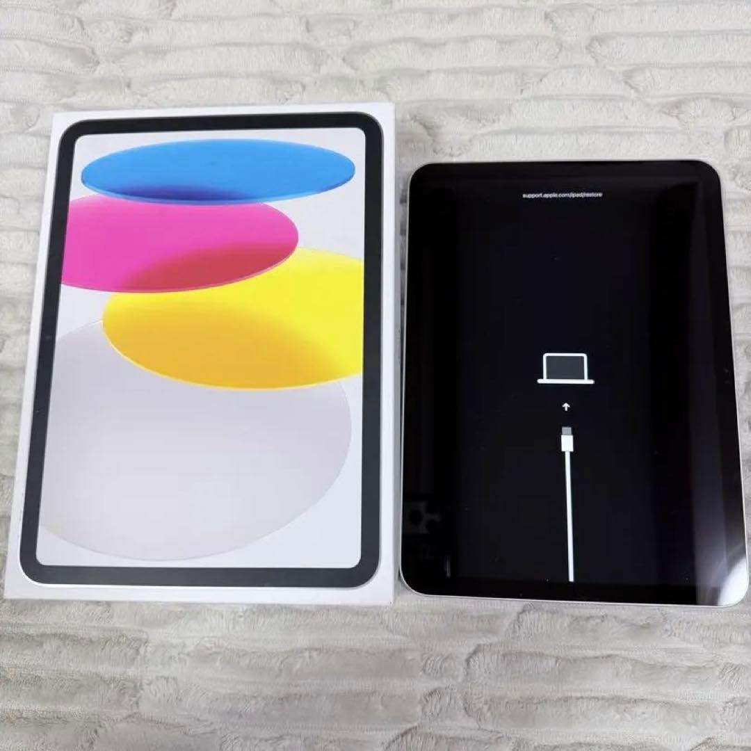 ジャンク品 ホワイト iPad 本体 第11世代 11インチ Wifiモデル