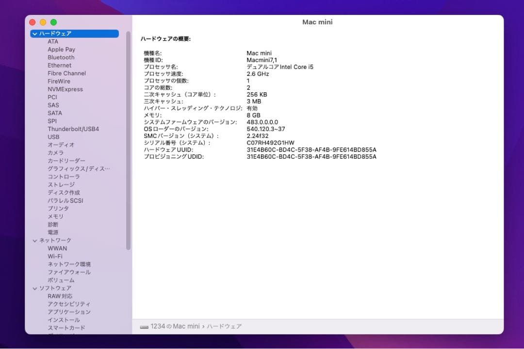 Apple Mac mini (Late2014) アドバンスバージョン SSD