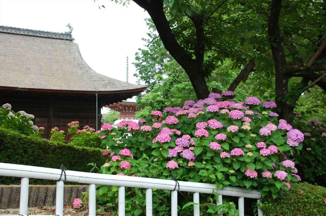 タムロン18-270mmF3.5-6.3DiII VCLD (B003ニコン)