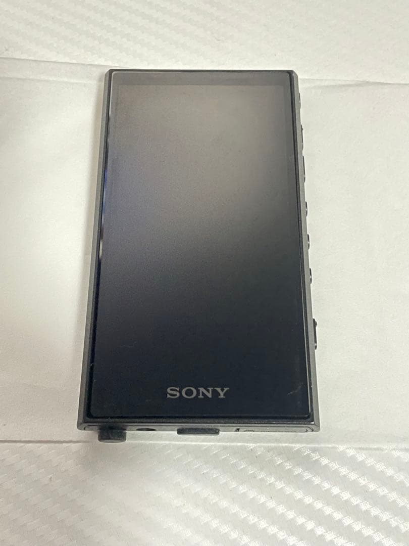 SONY WALKMAN NW-A306 32GB ケース+128GB SD付き