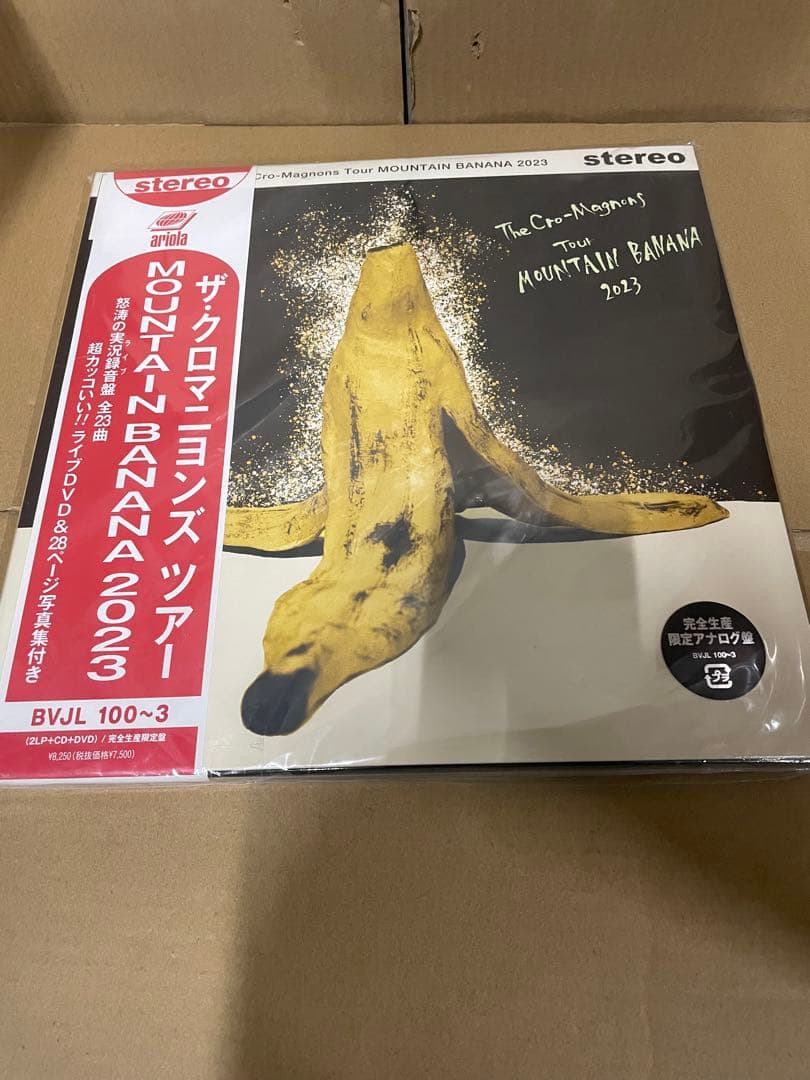 ザ・クロマニヨンズ ツアー MOUNTAIN BANANA 2023