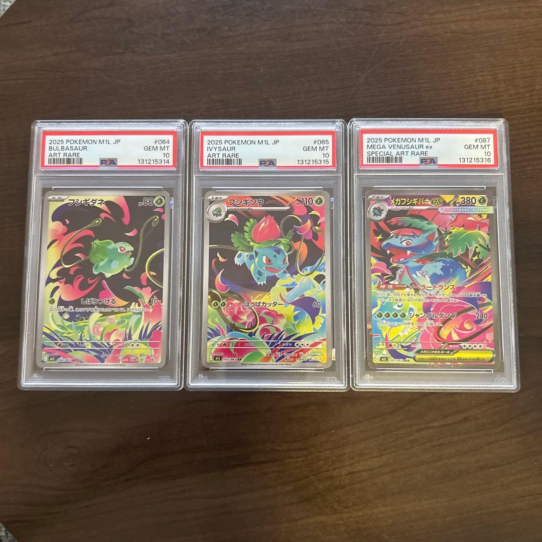 メガフシギバナex 進化ライン PSA10連番セット