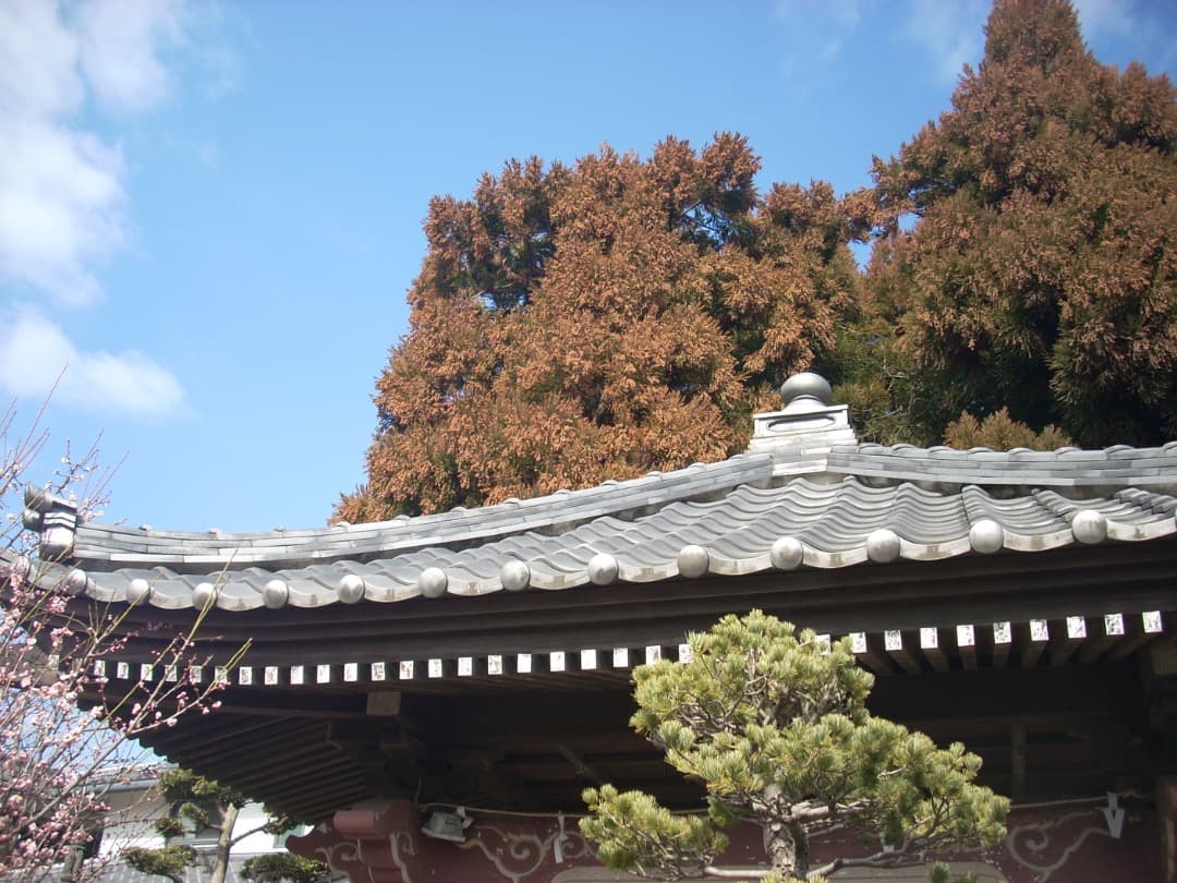 追加有り⭕️単三電池式【動作確認済】Nikon COOLPIX L11