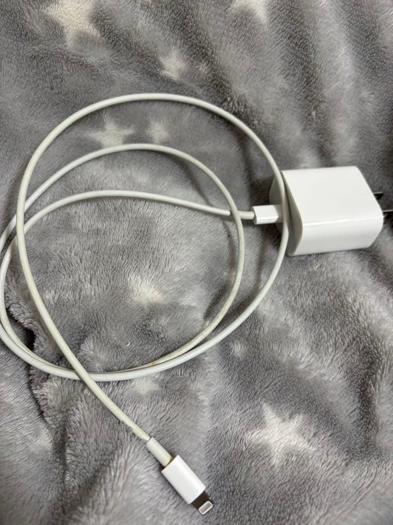 iPad (第8世代) 32GB ゴールド Wi-Fi + Cellular