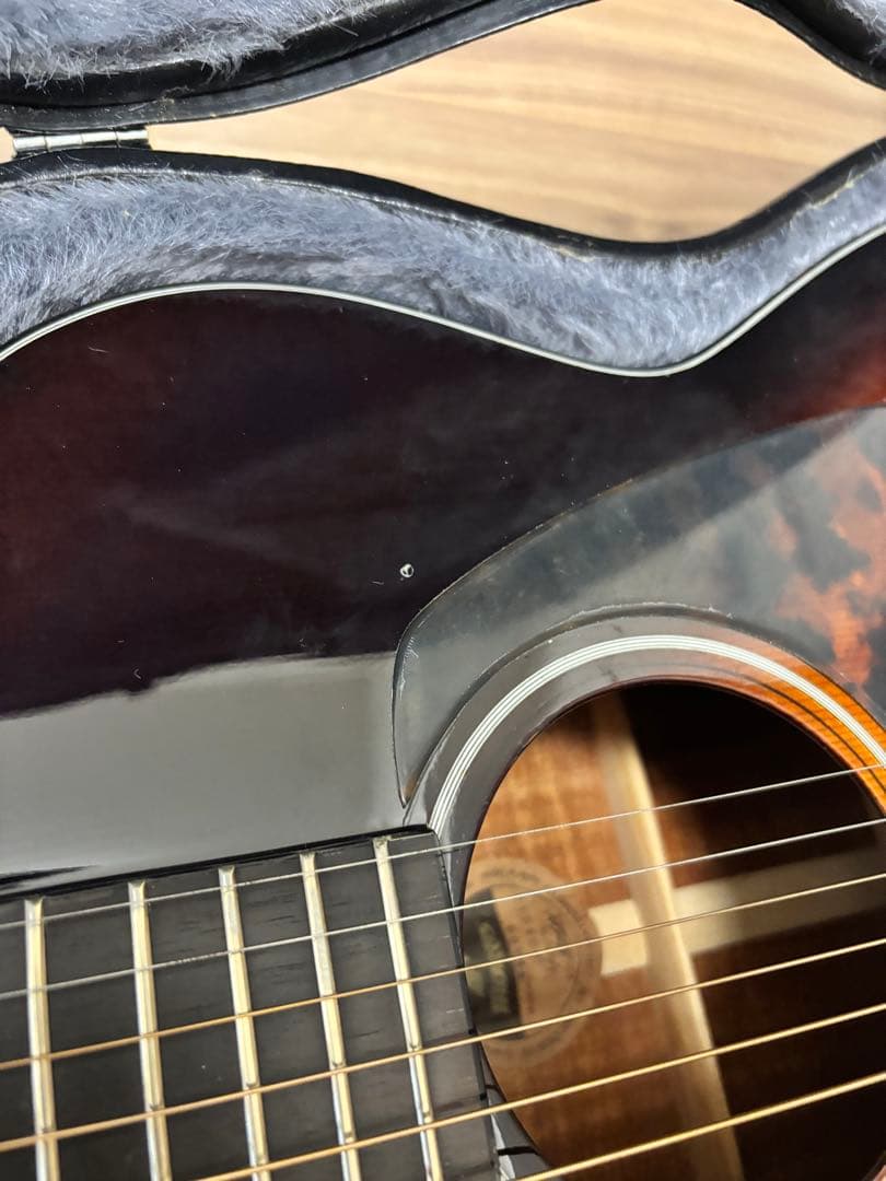 Morris アコースティックギター WF808