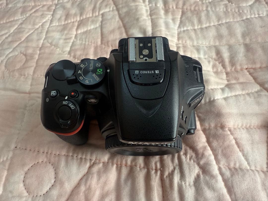 【自家焙煎コーヒーの神谷】Nikon D5600 ダブルズームキット