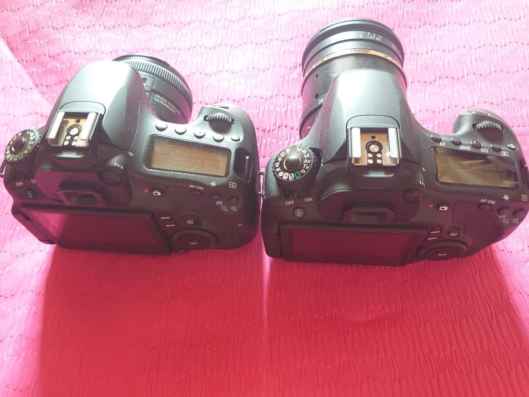 キヤノン キャノン Canon EOS 60D 2機 単焦点 ズームレンズ 純正