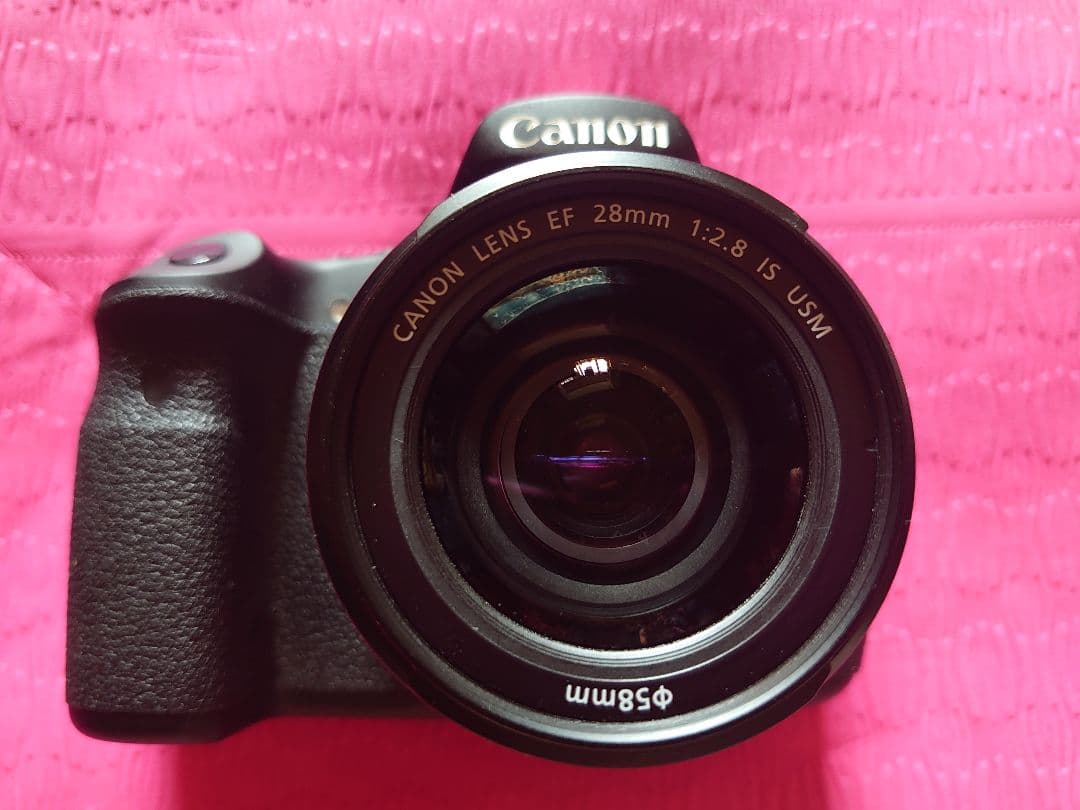 キヤノン キャノン Canon EOS 60D 2機 単焦点 ズームレンズ 純正