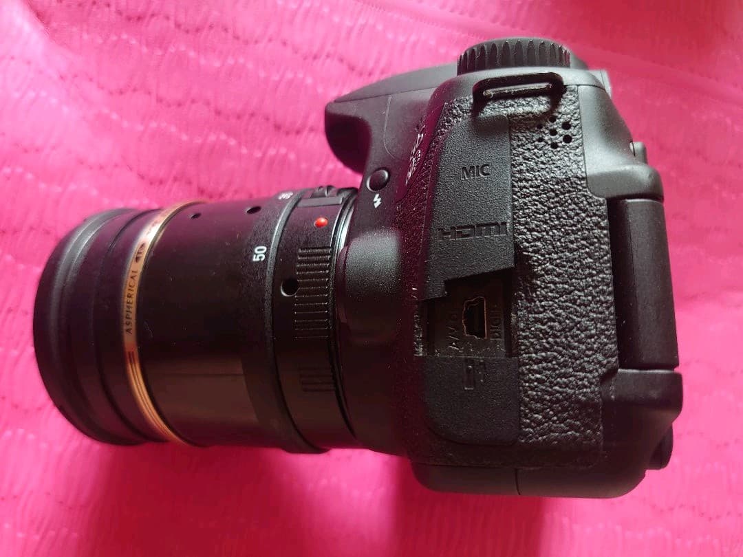 キヤノン キャノン Canon EOS 60D 2機 単焦点 ズームレンズ 純正