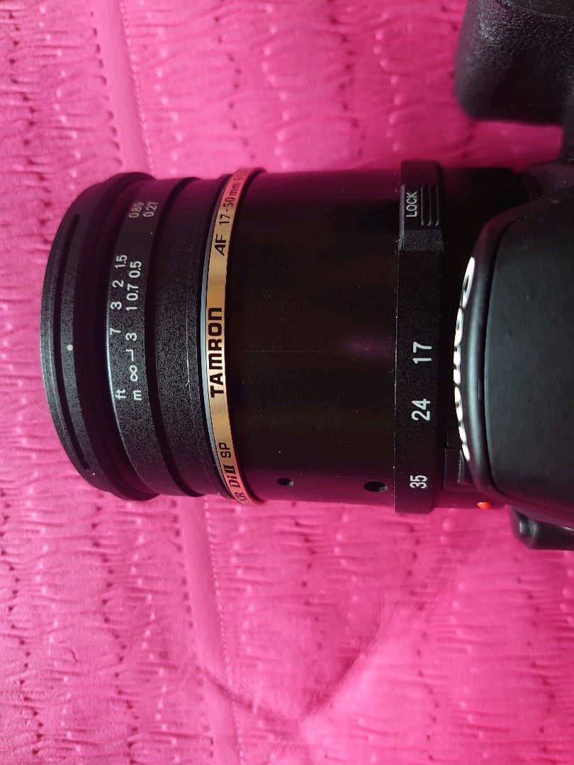 キヤノン キャノン Canon EOS 60D 2機 単焦点 ズームレンズ 純正