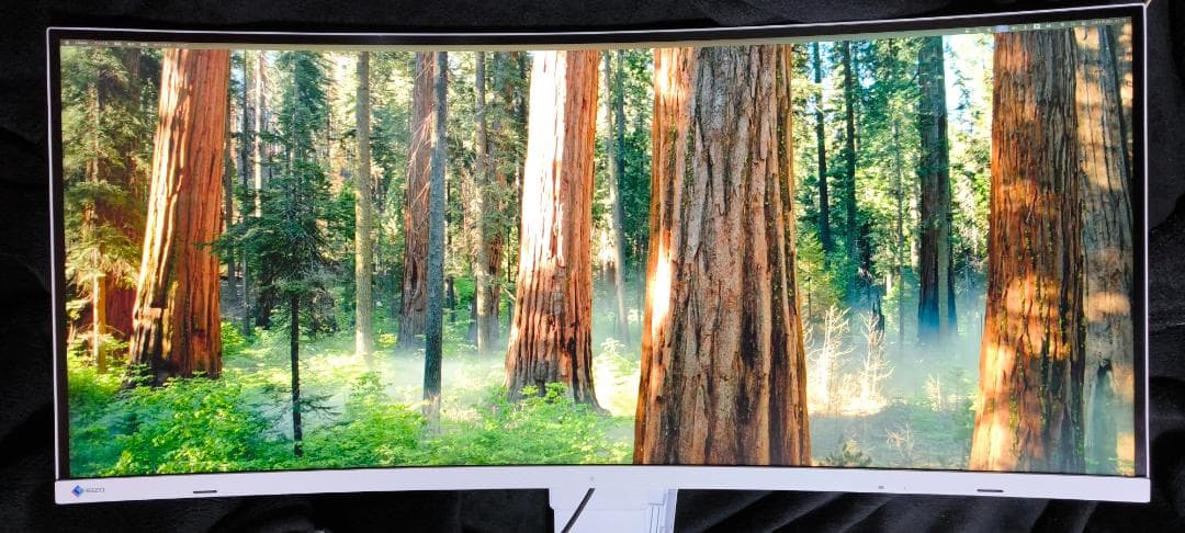 EIZO FlexScan EV3895-WT （ホワイト）