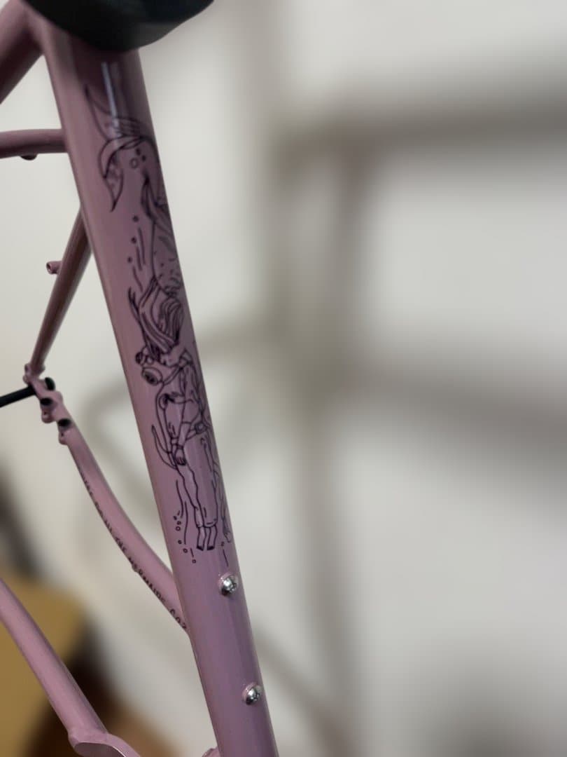 Crust bikes bombora × enve