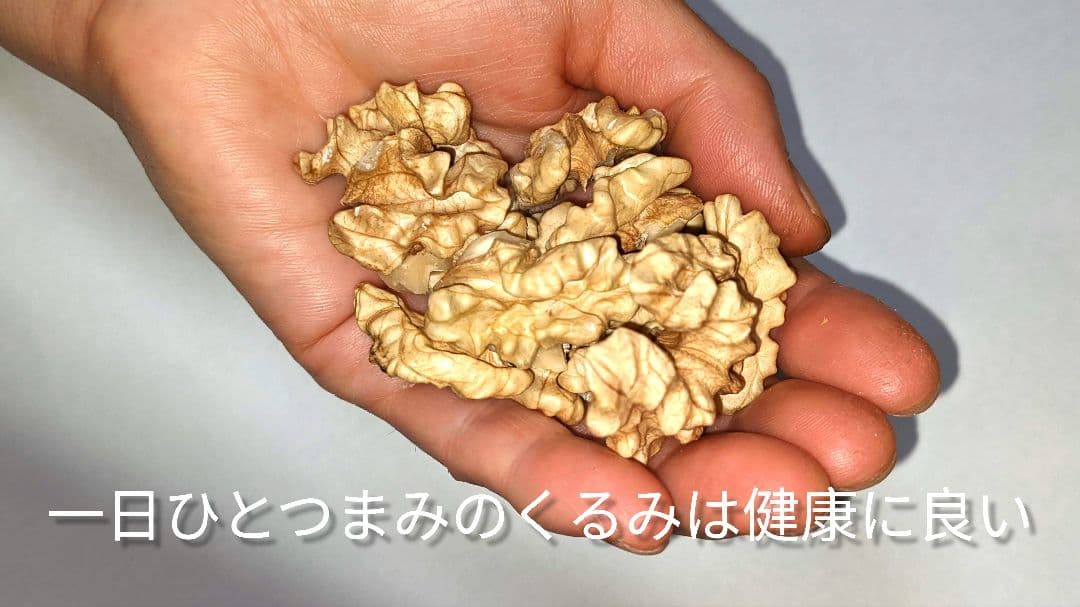 くまたくん商品 25年産 新物 国産 殻付き信濃くるみ 長野県産