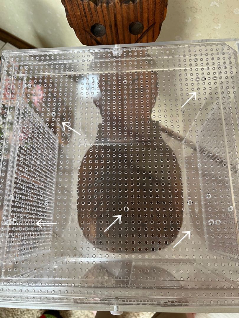 爬虫類、小動物アクリルケージ32cm×32cm 高さ40 cm