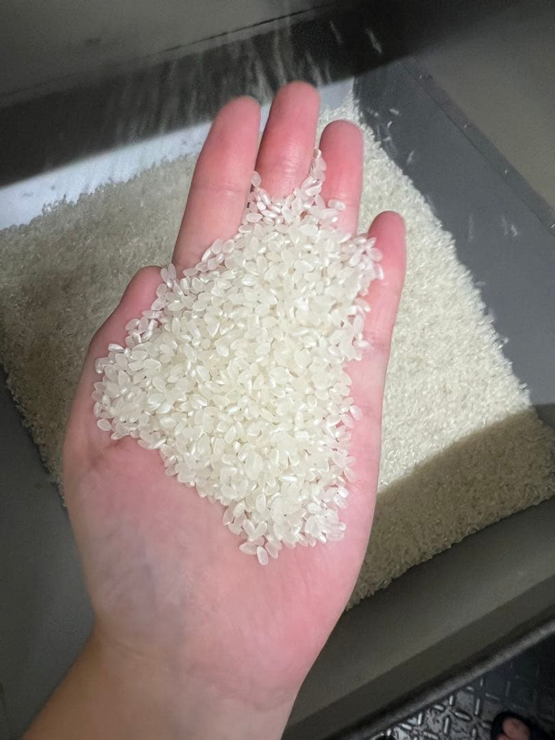 R7コシヒカリ新米