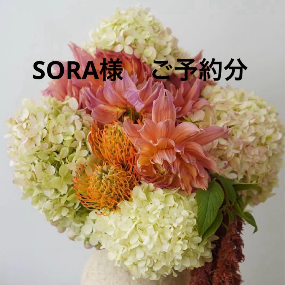 SORA様　ご予約分