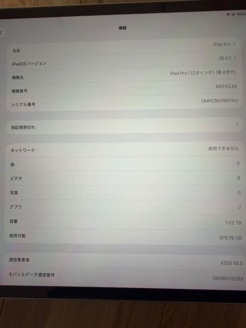 iPad Pro 第4世代 1TB 12.9インチ 本体 充電器付き