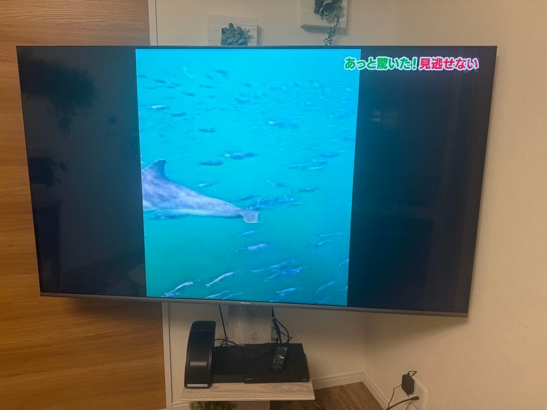 【S12】ハイセンス65型 液晶テレビ 65U7FG