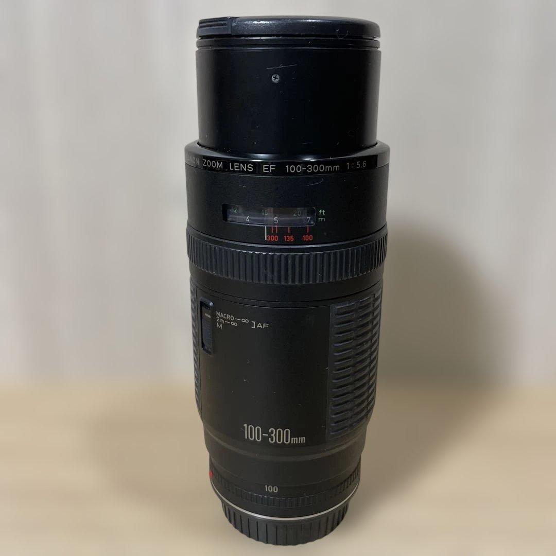 Canon EF 100-300mm f/5.6 ズームレンズ