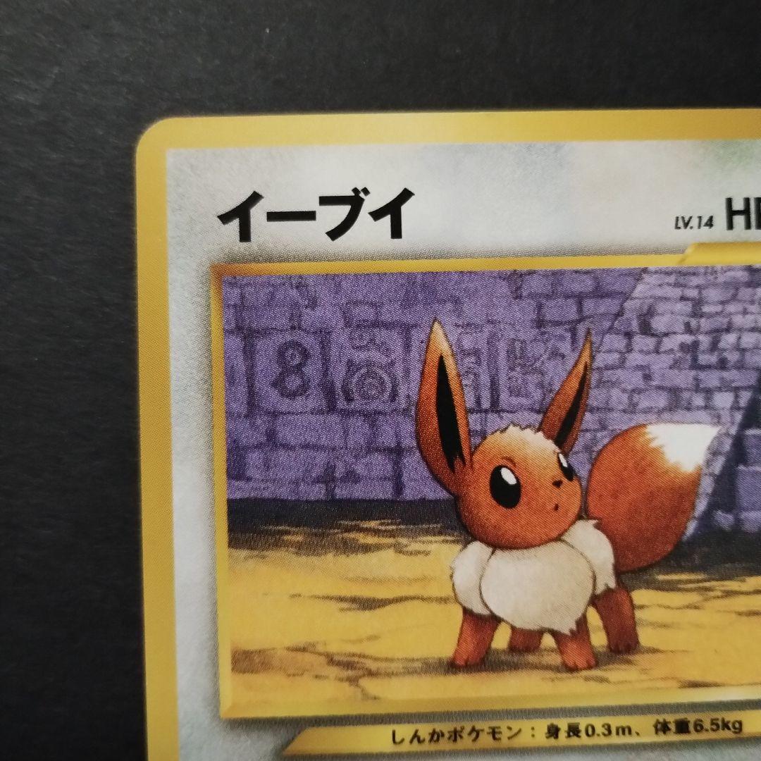 【旧裏面】イーブイ　エーフィ　ポケモンカード★neo プレミアムファイル2