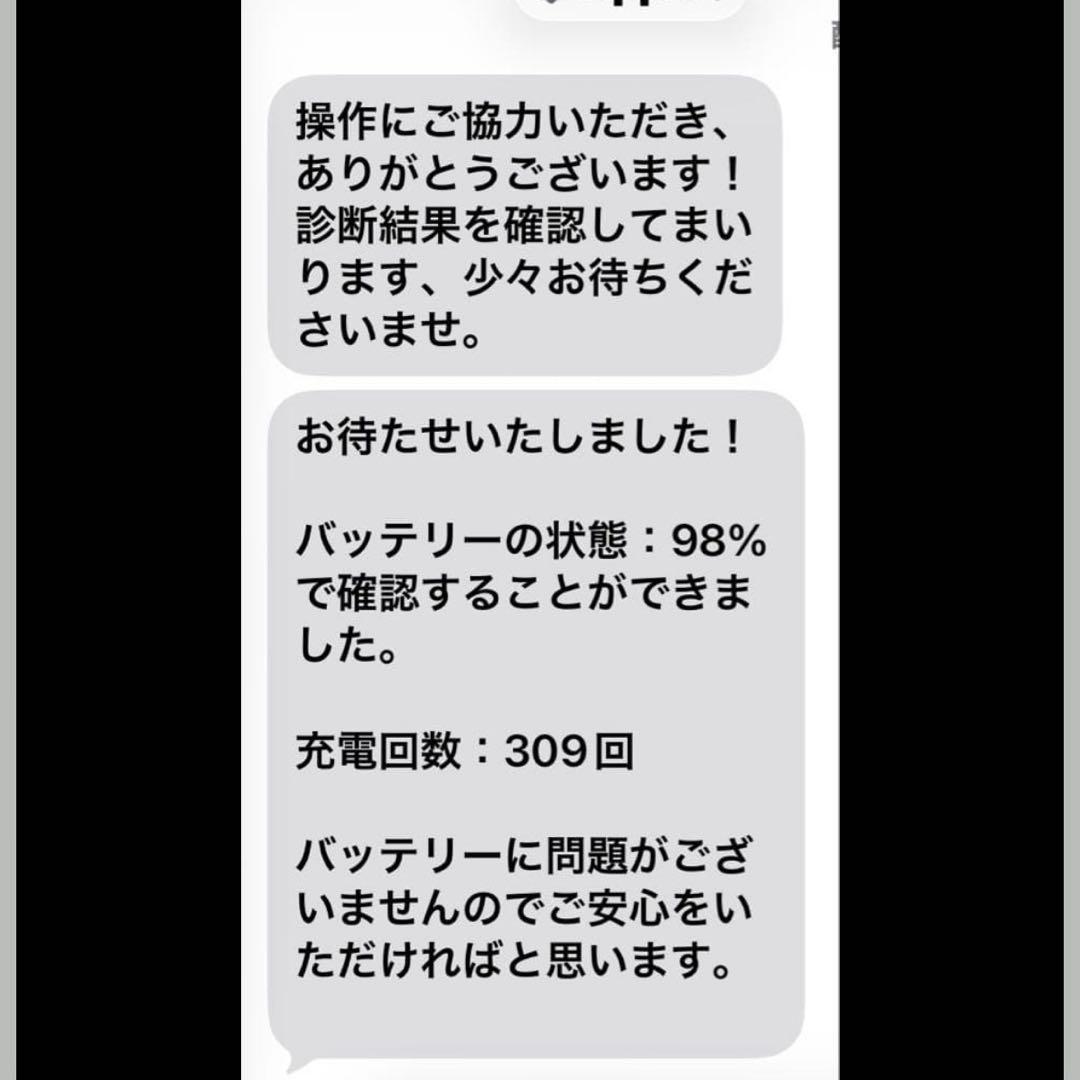 iPad本体 iPad mini6 256 Apple Pencil