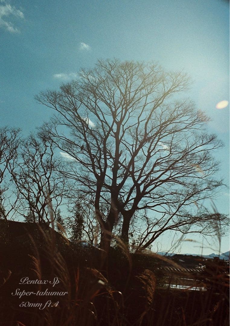 美品＊完動品★Pentax Sp★ダブルレンズセット★初期保証＊作例多数＊入門に