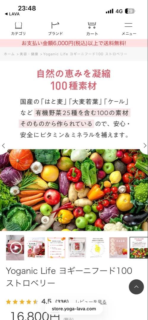 YOGINI FOOD 100 ストロベリー　ラバ