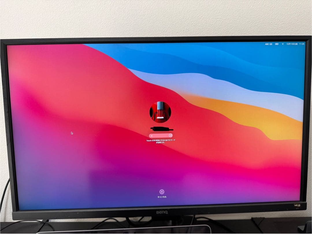 BenQ ディスプレイモニター31.5インチ +ERGOTRON モニターアーム