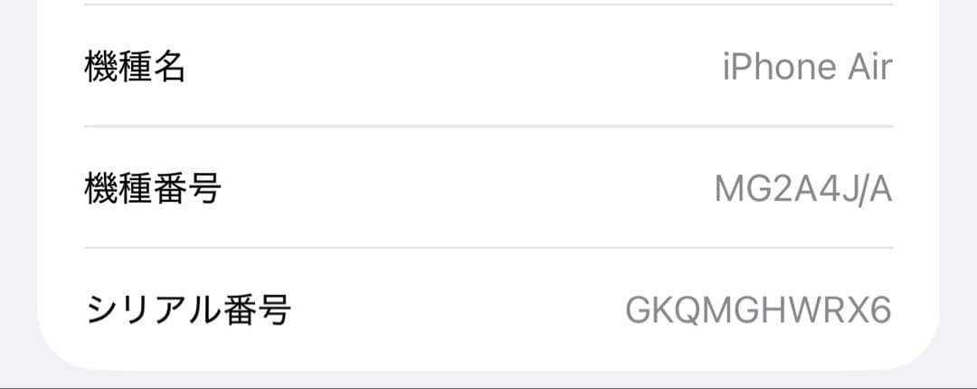 Apple Air 256GB スカイブルー 本体