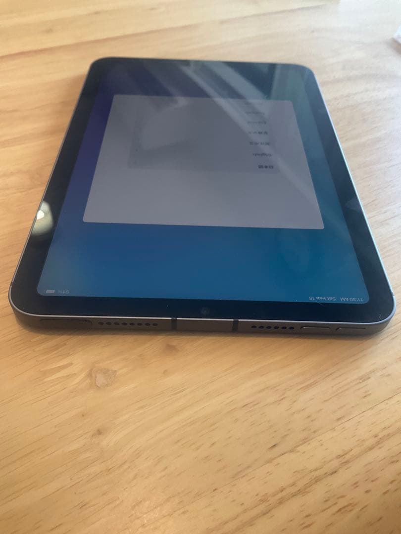 iPad本体 ipad mini6 256GB Cellular apple care