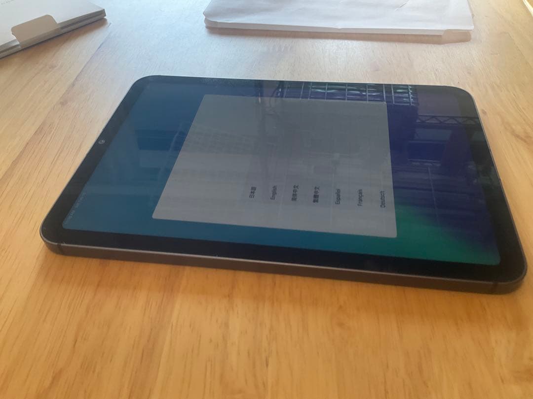 iPad本体 ipad mini6 256GB Cellular apple care