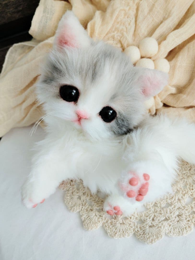 幼猫♡生後２週間♡よちよち期♡子猫の杏ちゃん♡アートドール♡ぬいぐるみ♡