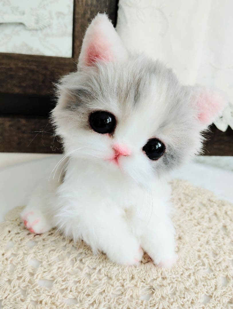 幼猫♡生後２週間♡よちよち期♡子猫の杏ちゃん♡アートドール♡ぬいぐるみ♡