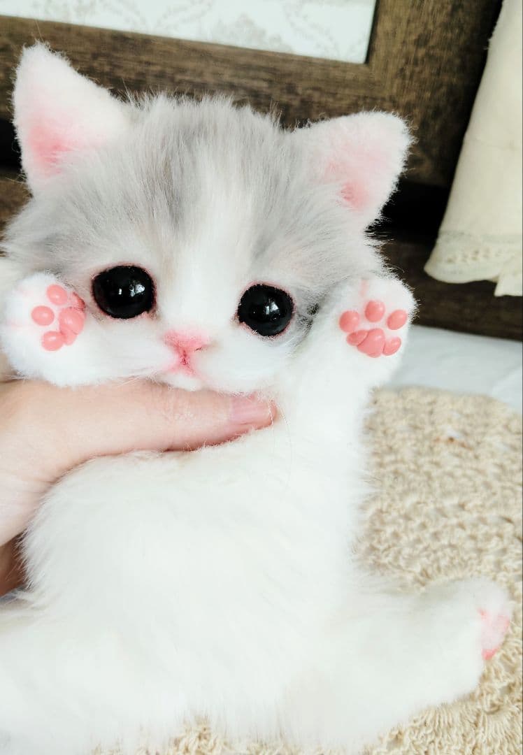 幼猫♡生後２週間♡よちよち期♡子猫の杏ちゃん♡アートドール♡ぬいぐるみ♡
