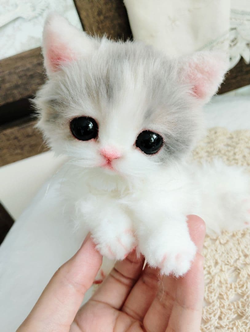 幼猫♡生後２週間♡よちよち期♡子猫の杏ちゃん♡アートドール♡ぬいぐるみ♡
