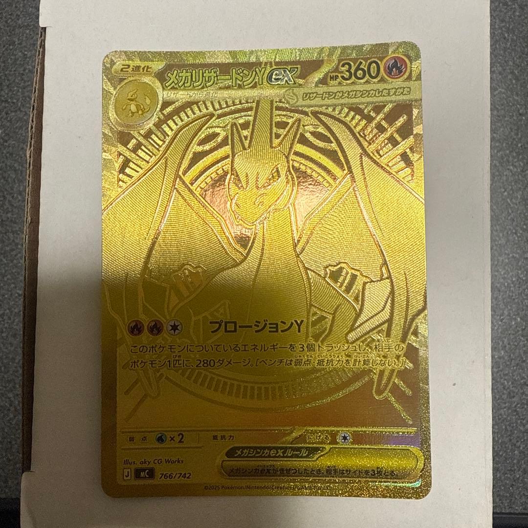 リザードン y mur