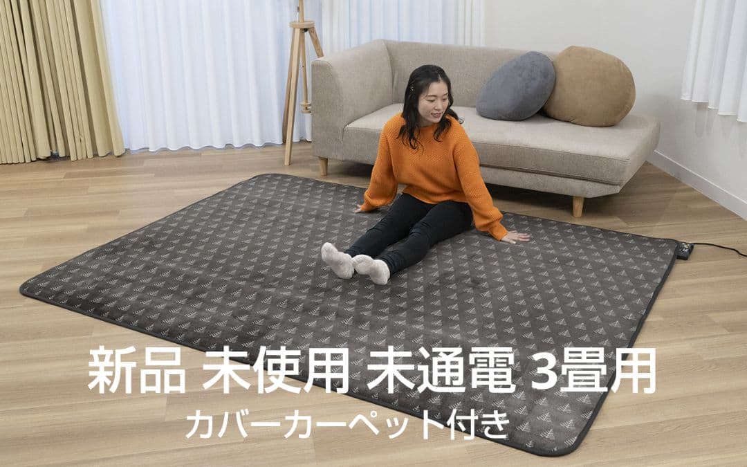 KODEN 省エネ電気カーペット