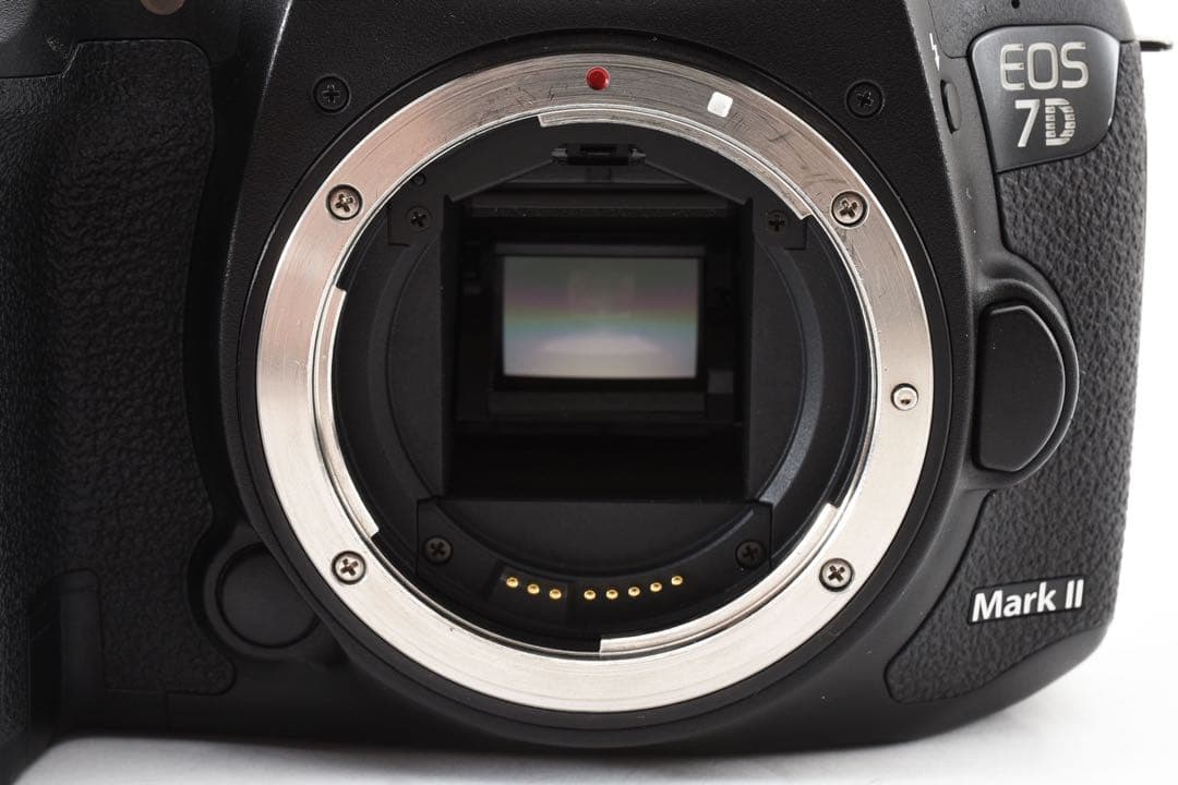 Canon EOS 7D Mark II標準&望遠ダブルレンズセット
