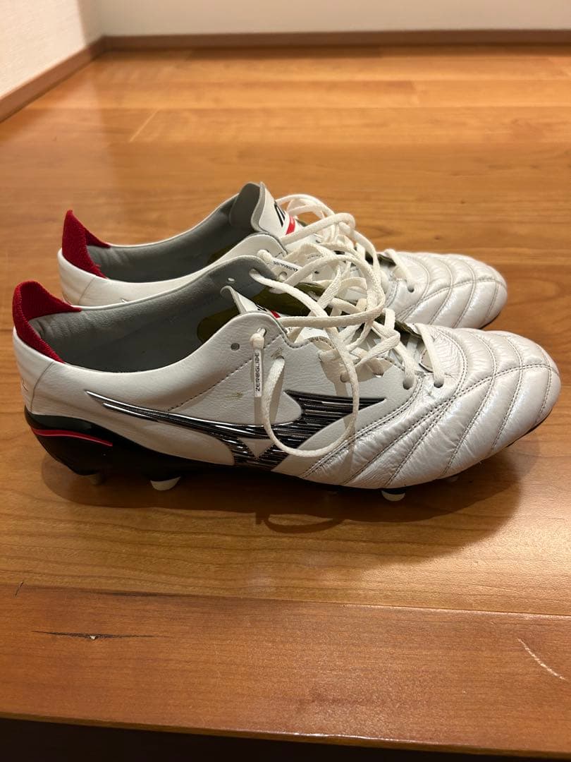 モレリアネオ　sg