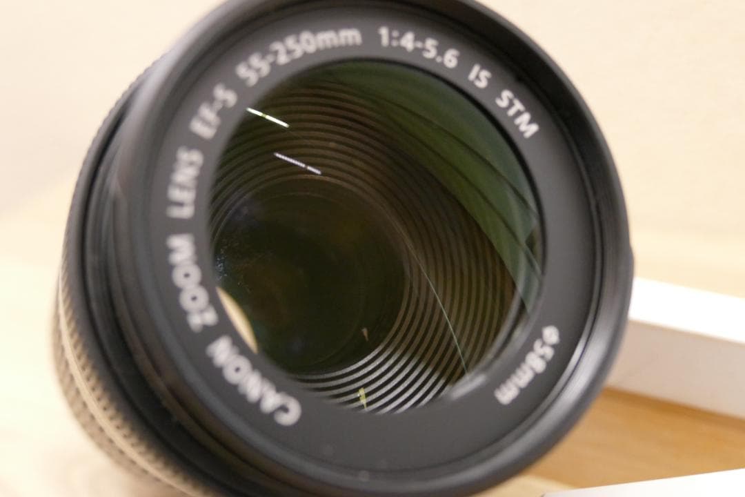 Canon EF-S 55-250mm f4-5.6 IS STM【ジャンク品】