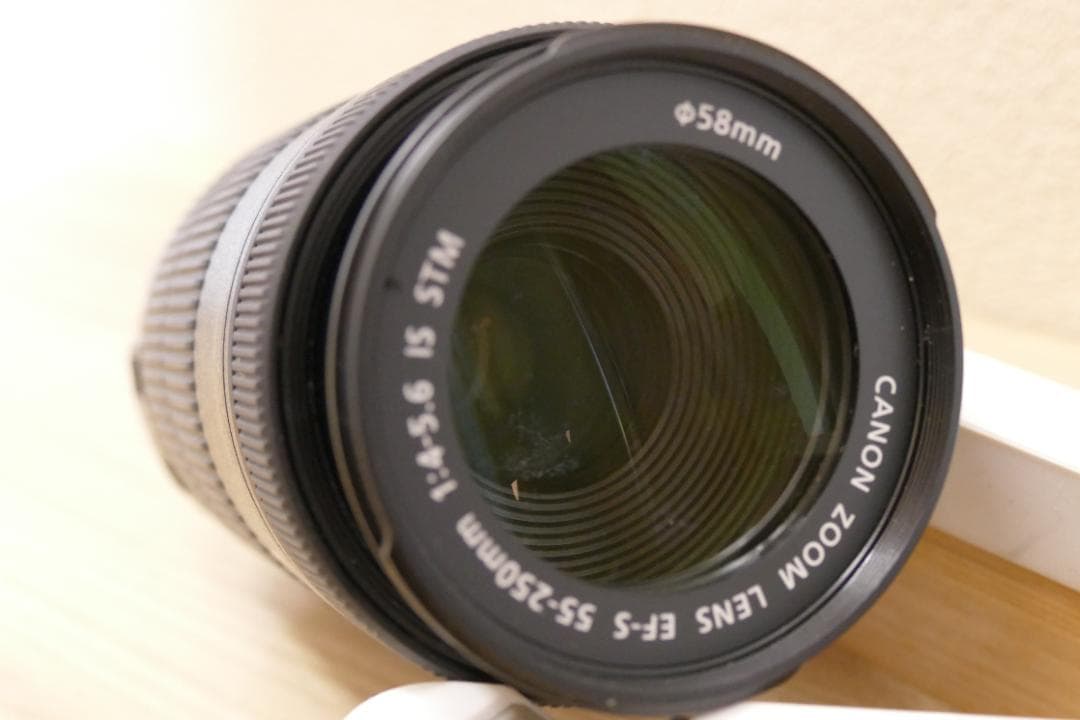 Canon EF-S 55-250mm f4-5.6 IS STM【ジャンク品】